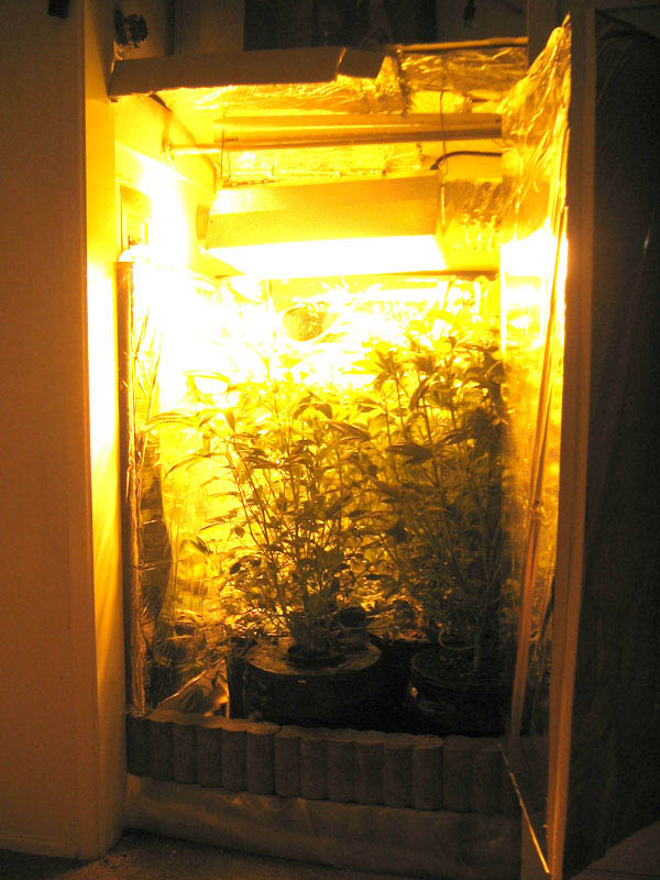 another angle ... also taken on 10-12-04.