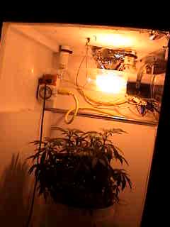 the inside workings of 