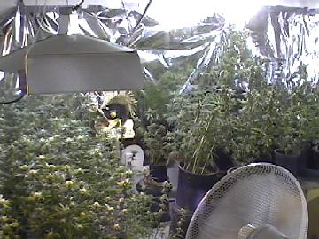 hydro table to the right