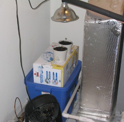 We added a timex timer to automatically monitor the plants light cycle. we also added two fans. 