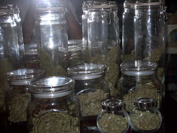 I'm very happy with the yield...but I know that I can improve.