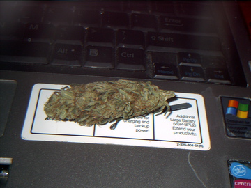That's a $30 bud you're looking at...homegrown.