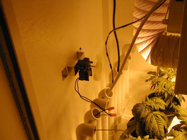 This is my new circulation fan.  Although small it is perfect for my plants.