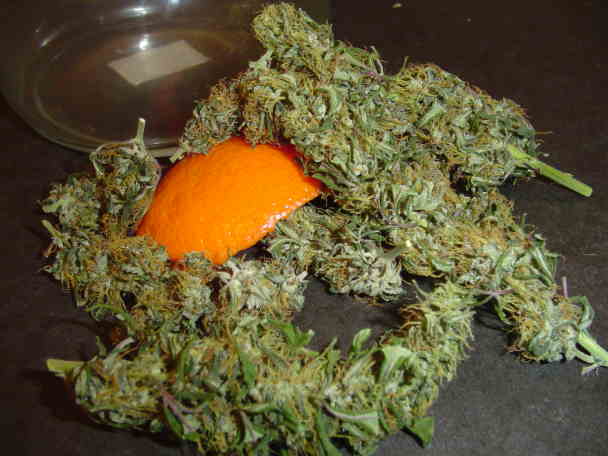 mmmmmmm taste great and bakes youre ass! What more can you ask for?