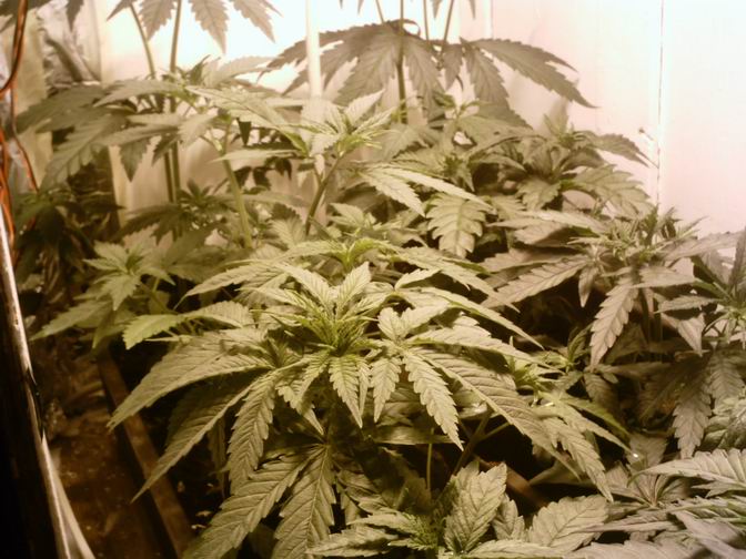 still smoking :)