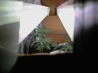 New Pic Week 5