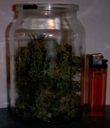jar of popcorn buds