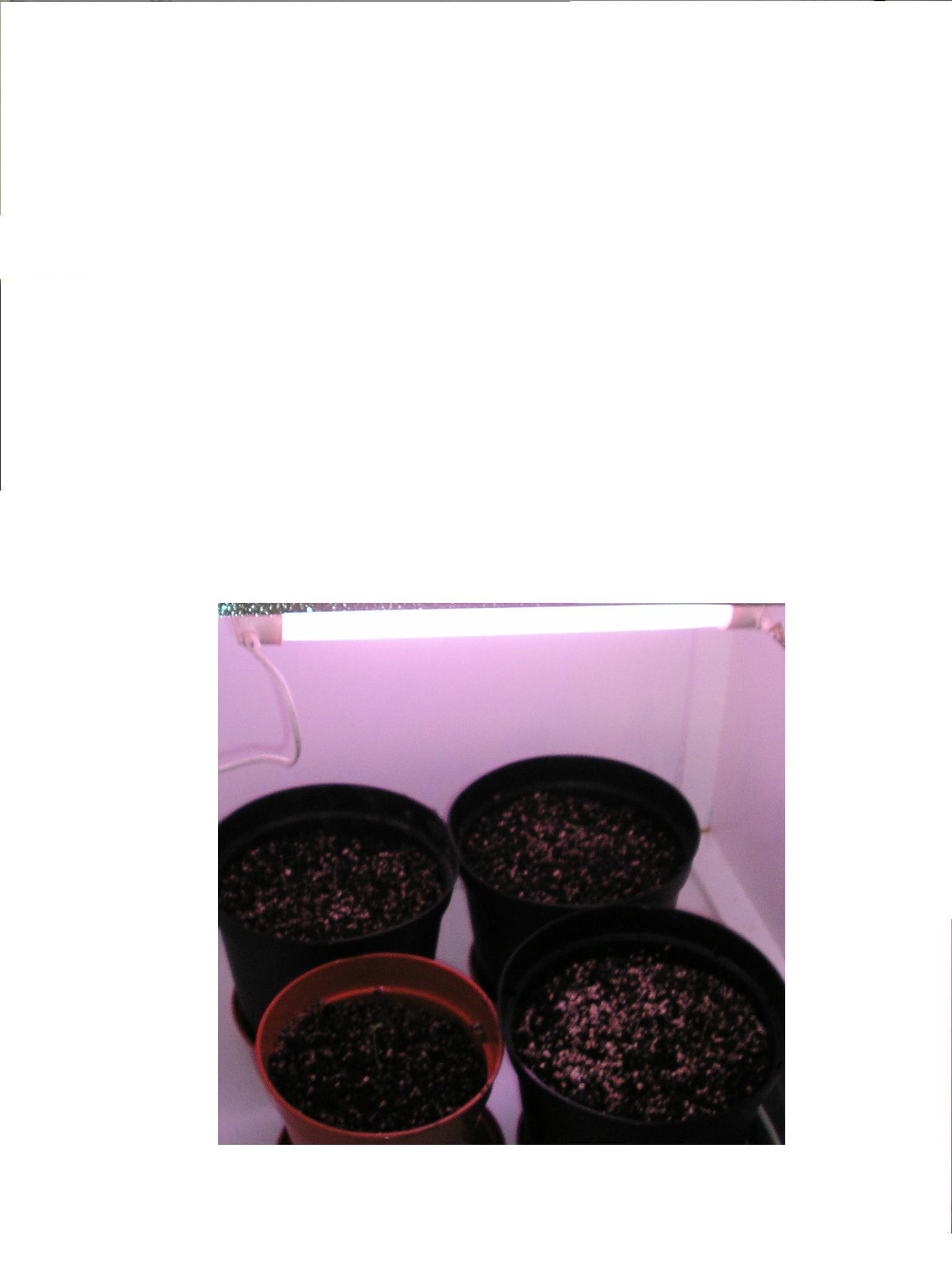 growroom from outside