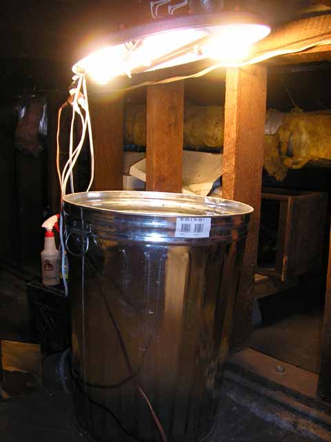 the chamber open witht he lights on.