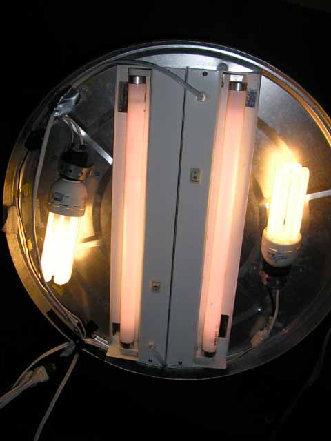 the light array(screwd onto the bottem of the lid)