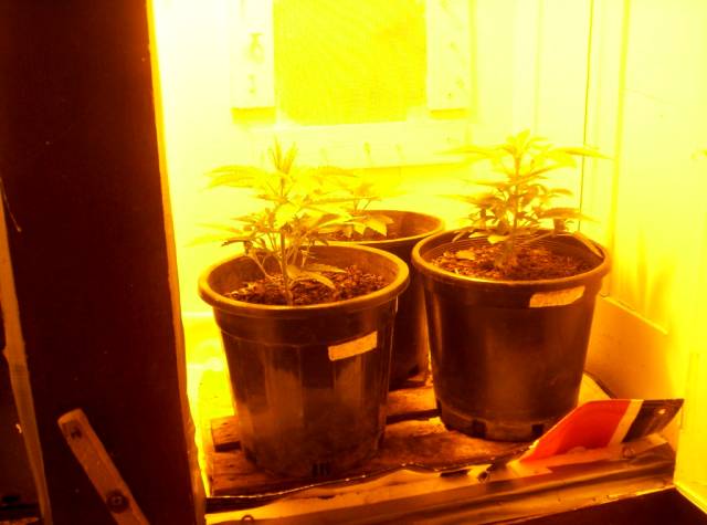 Apologies for the lack of quality in this pic!
Three girl's in 8