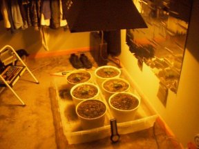 A pic of the basic setup