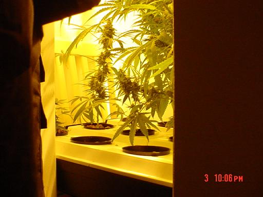 another shot of my closet at 6 weeks