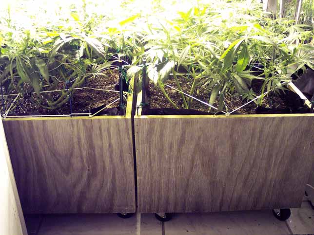 Created two planter boxes with rubber wheels to make it easier to work on.  It will also be helpful when in the final flush stages.