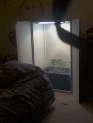 here is a pic of my grow box its     5' tall
2' wide
3' long
i am going to add vents and a fan to it today ill put the other pic when finished ( I will make it a better Quality pic next time sorry cheap camera