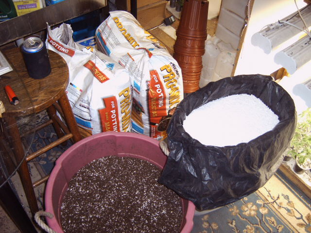 I'm in recycled soil this time around, but originally it was pro-mix and 1/3 perlite. This pic is from last years last grow.