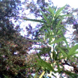 picture is not the best but i think you will  get the idea 