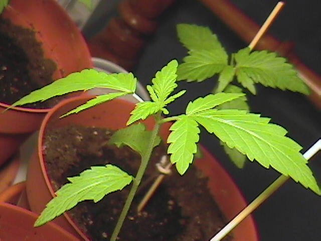 Front right.