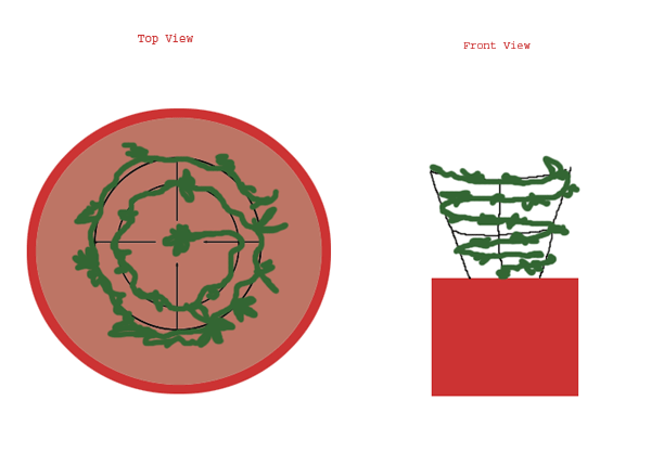 What I want to do is to create some kind of crown with the plant by training it with a tomato plant metallic support.