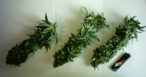 the 3 biggest colas