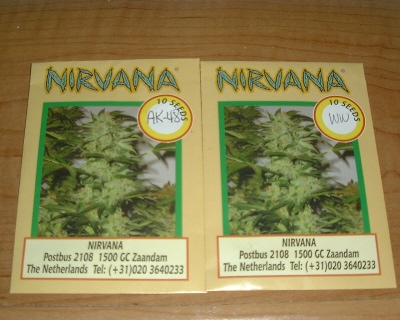 This is what the seeds came in. Thanks Doc Chronic!