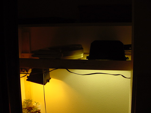 The frame was fairly easy to make, and the 